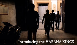 Introducing the HARANA KINGS